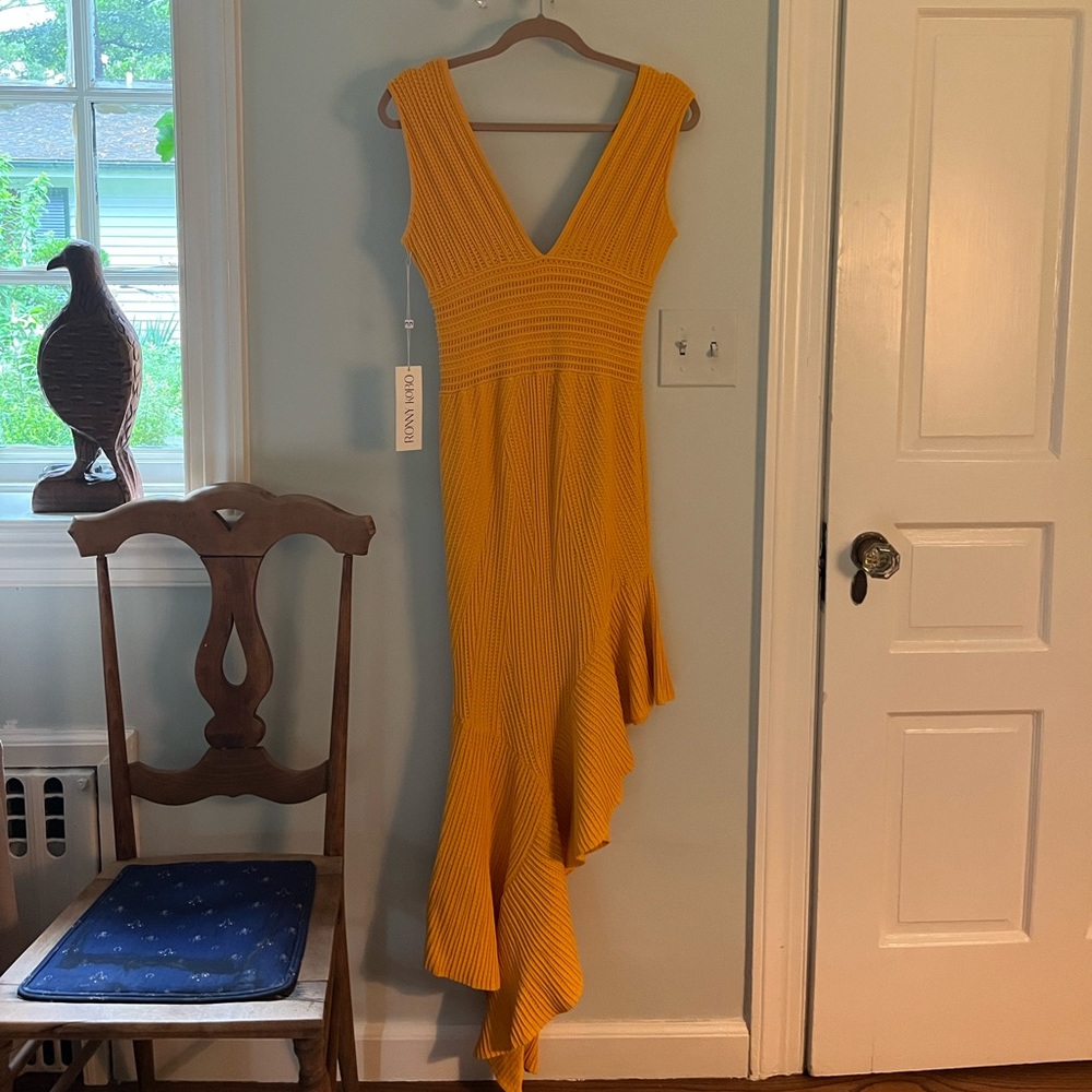 Ronny Kobo Dress